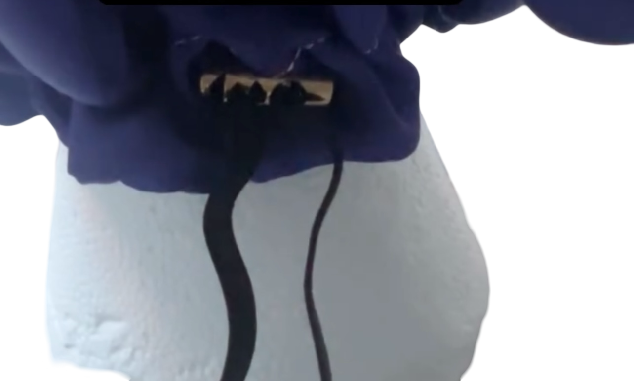 Adult Custom Adjustable Purple Bonnet